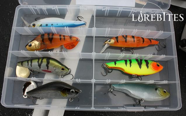 Νέα μοντέλα hardbaits από την Sebile