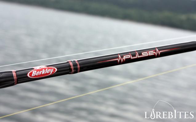Berkley Pulse