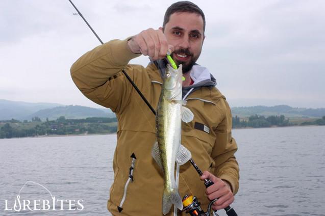 58_zander