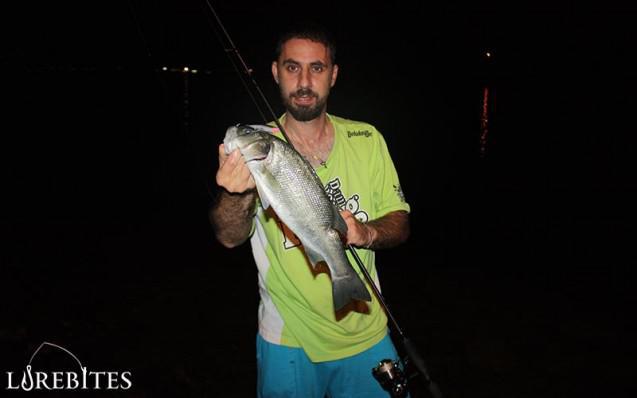 anyfish_13