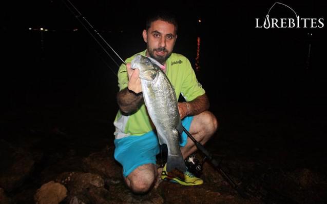 anyfish_2