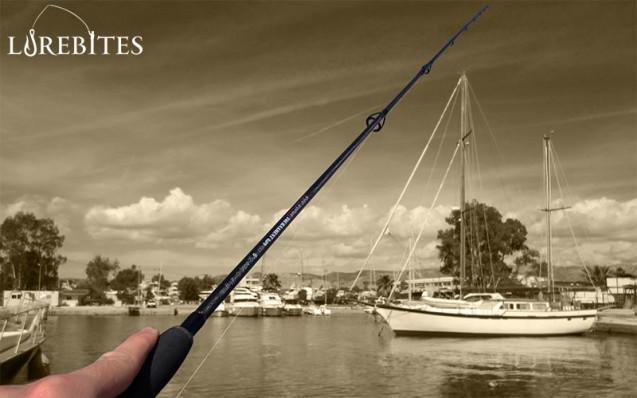 anyfish_521-45