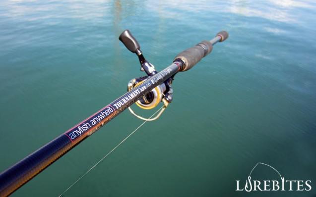 anyfish_521_1