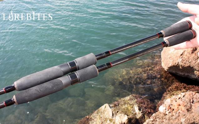 anyfish_521_5