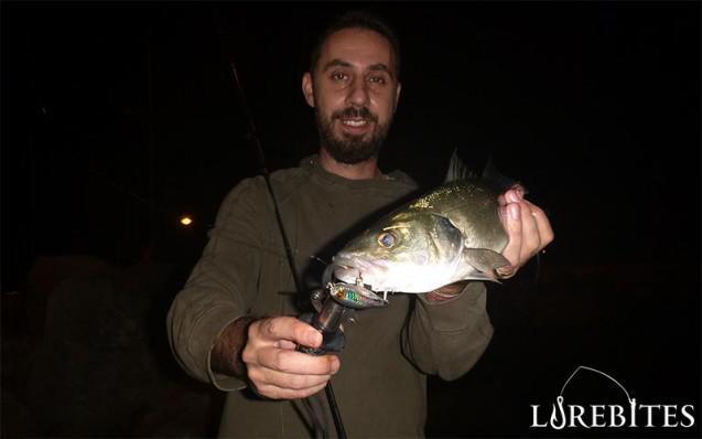 anyfish_728-14