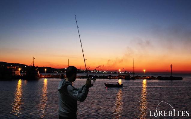 anyfish_728-2
