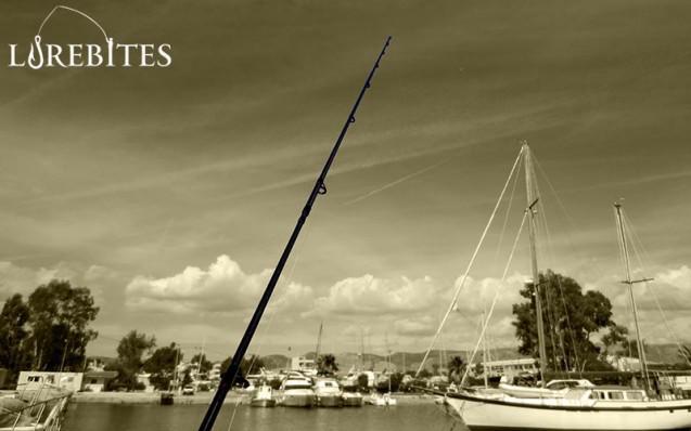 anyfish_728-3