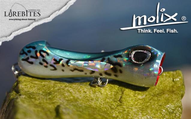 molix_Spopper65