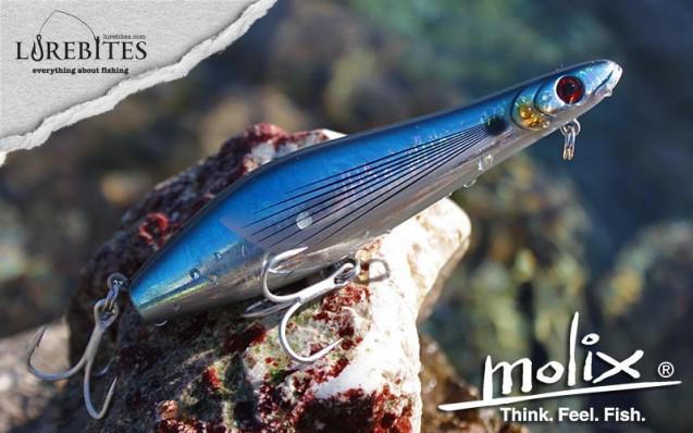 molix_proteus