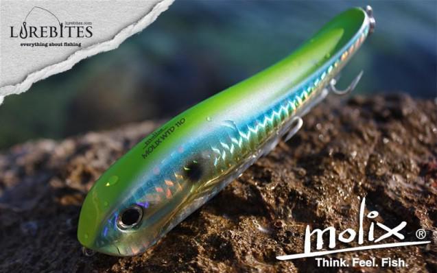 molix_wtd110
