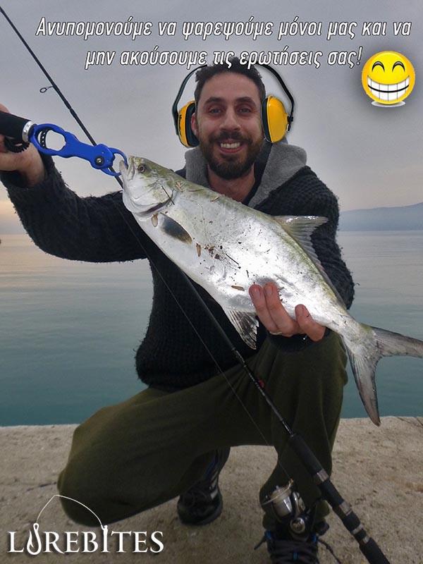 pita_1