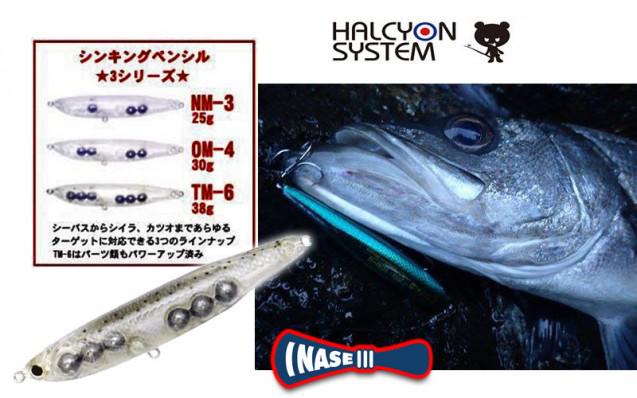 inase2