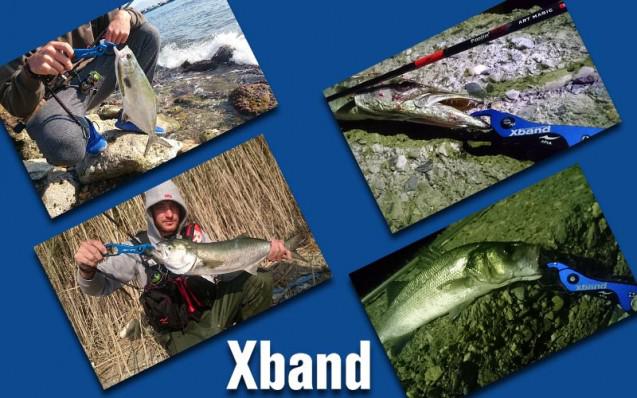 xband_collection