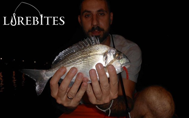 magbite7