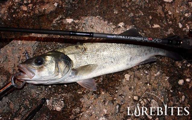 5lrf-dragon_streetfishing_4