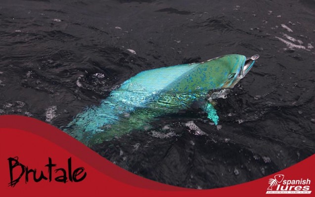 brutale3_parousiasi_spanish_lures