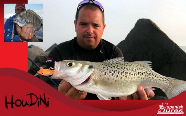 houdini2_parousiasi_spanish_lures
