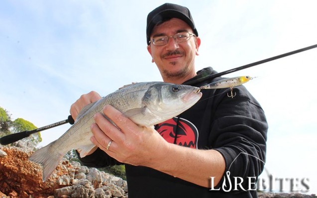 hto_revolution_rockfish_11