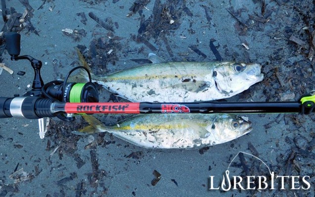 hto_rockfish_2_7-28gr-3