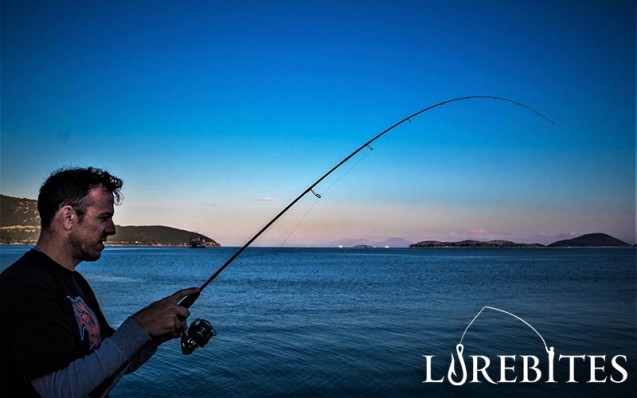 hto_rockfish_1-8_9