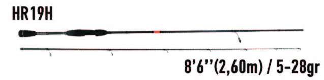 hr19H_rockfish