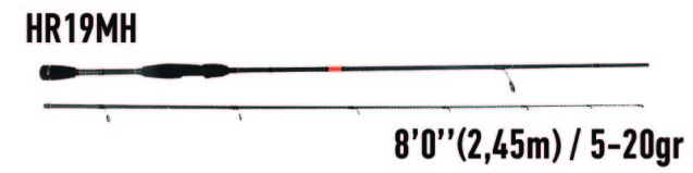 hr19MH_rockfish