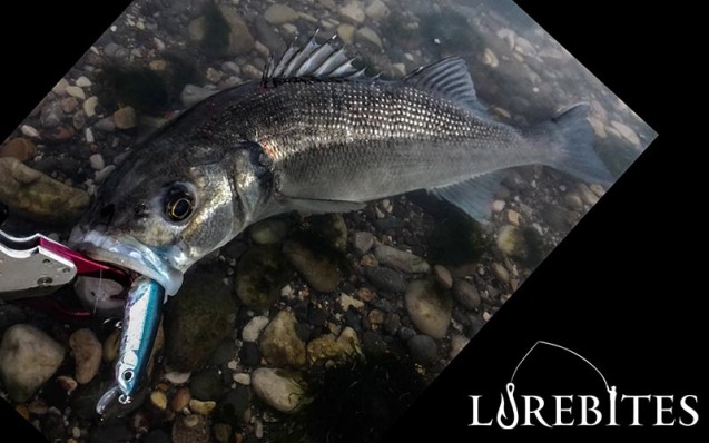 zipbaits_zbl_139f_5