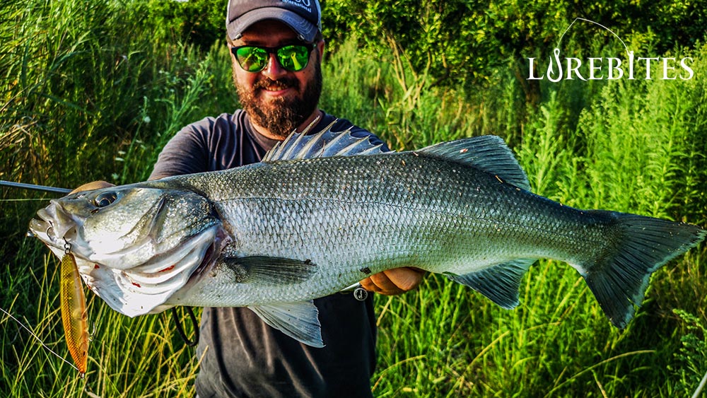 SEABASS ASSURE 110