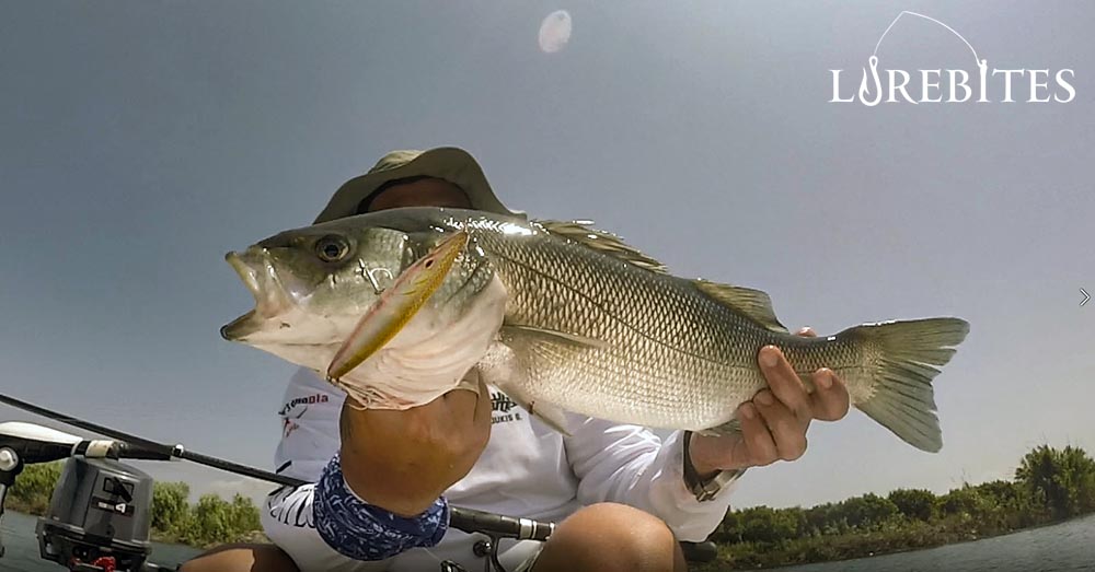 SEABASS ASSURE 110