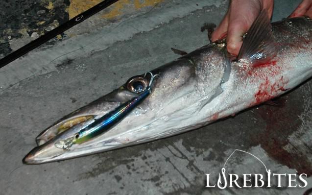 Τότε που μόνο τα minnow έκαναν δουλειά
