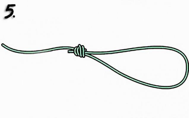 doublesurgeonsloop5
